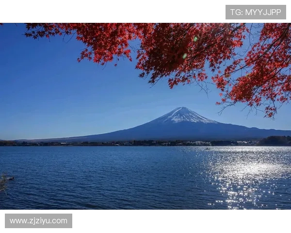 仙台七夕与海洋的奇妙交融探寻传统与自然的美丽结合